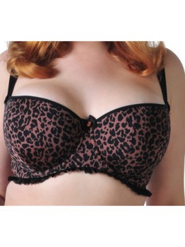 Scantilly Pounce Leopard 