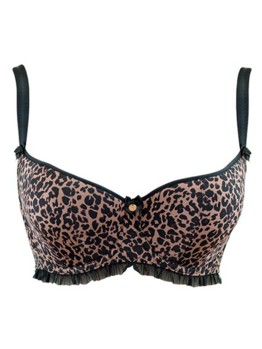 Scantilly Pounce Leopard 