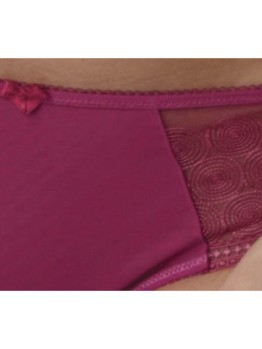 Panache Cari cranberry brief 