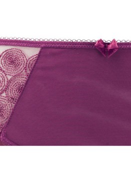 Panache Cari cranberry brief 