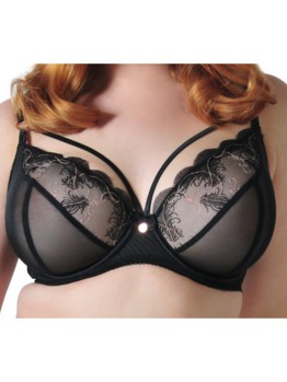 Scantilly Surrender black 