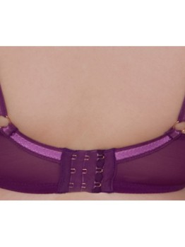 Scantilly Peek A Boo violet 