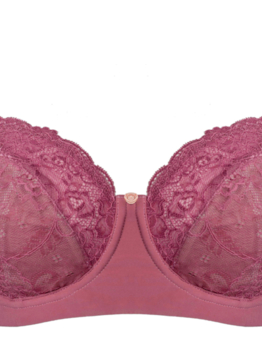 HotMilk Temptation kojicí Rose