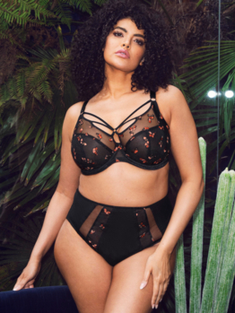 Elomi Sachi plunge EL4353 Black Butterfly