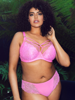 Elomi Brianna El8080 Very Pink