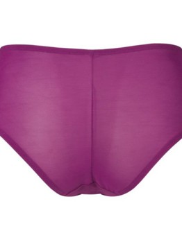 Sculptresse Willow Raspberry brief 