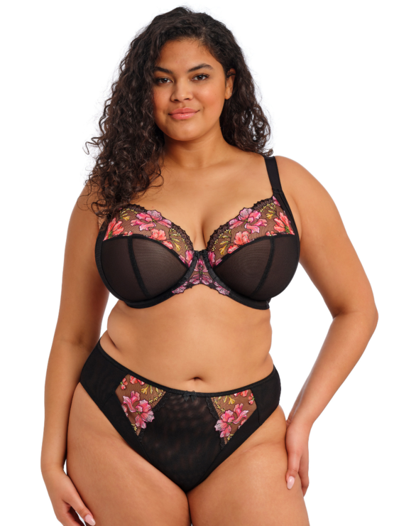 Elomi Teagan plunge EL302602 Rainbow