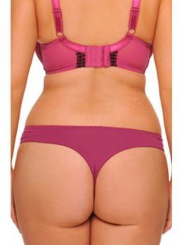 Curvy Kate Gia Boysenberry tanga 