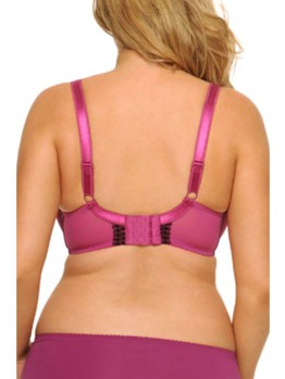 Curvy Kate Gia Boysenberry 