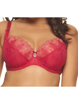 Curvy Kate Jewel Ruby Spice 